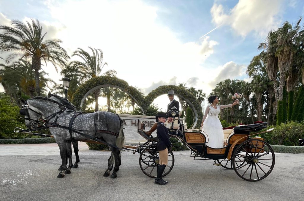 1709c429-6d0b-471e-a8e0-9d1cc54bd81c