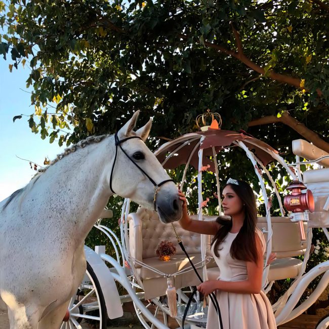 estilosDetalle_cinderella3