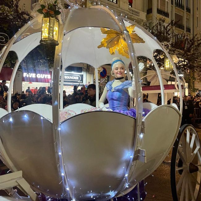 estilosDetalle_fantasia10