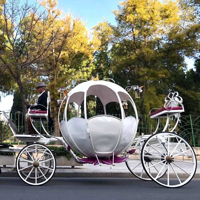 estilosDetalle_fantasia11