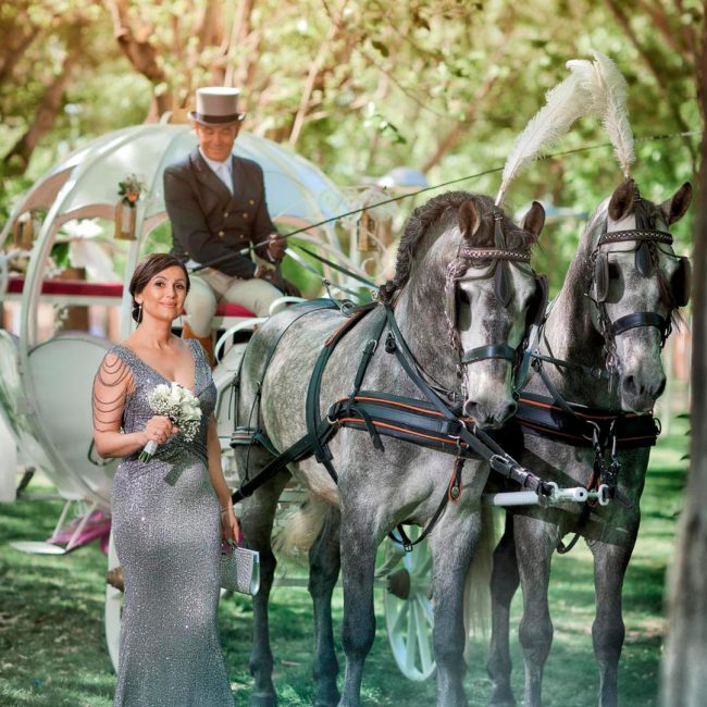 estilosDetalle_fantasia13