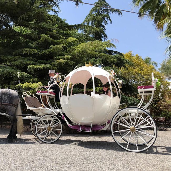 estilosDetalle_fantasia15