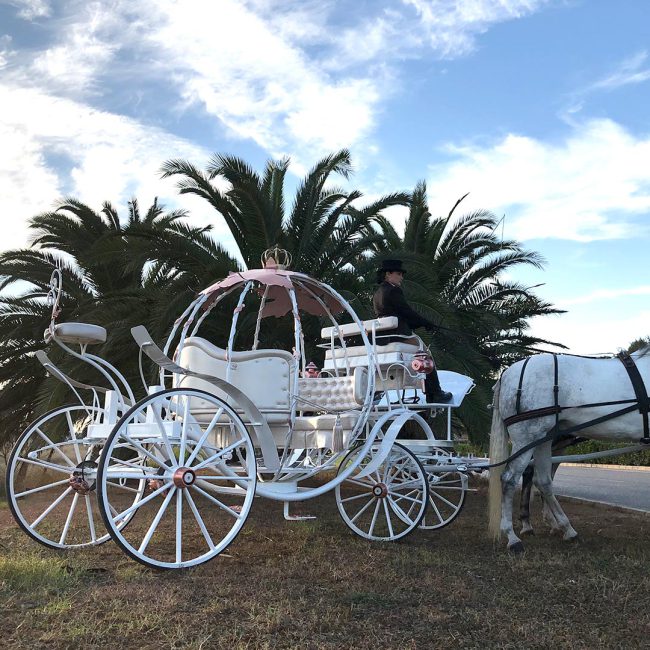 homeSectionEstilos_cinderella12