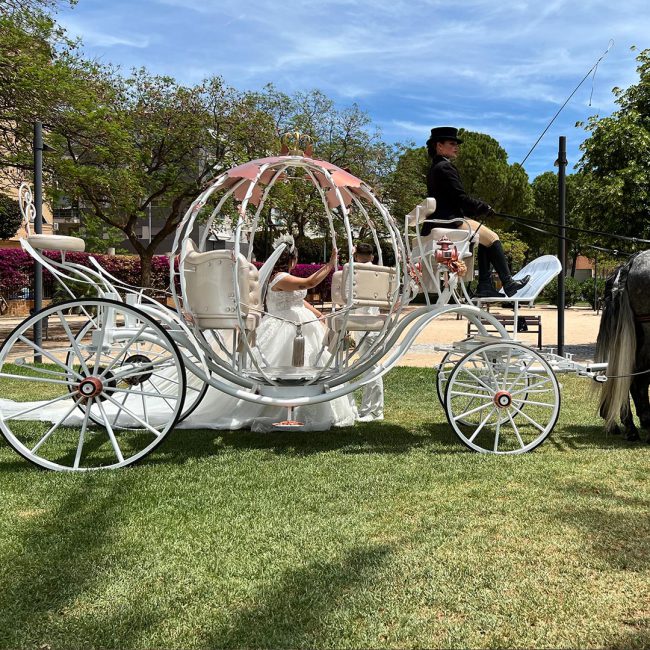 homeSectionEstilos_cinderella13