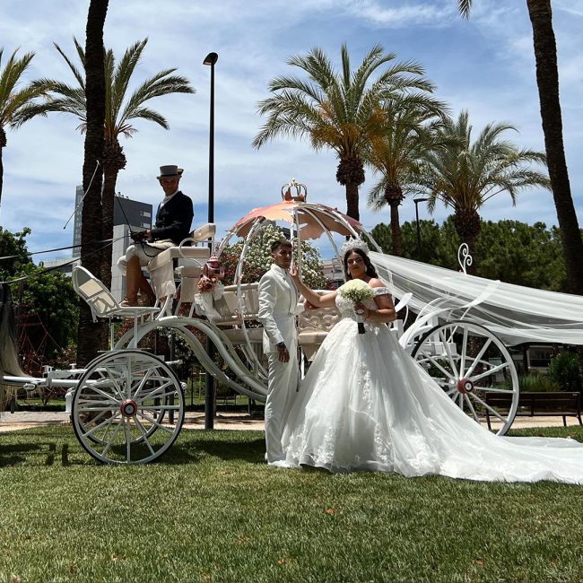 homeSectionEstilos_cinderella14