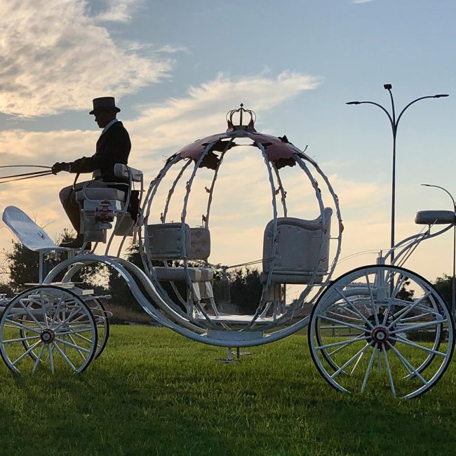 homeSectionEstilos_cinderella15