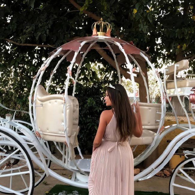 homeSectionEstilos_cinderella2