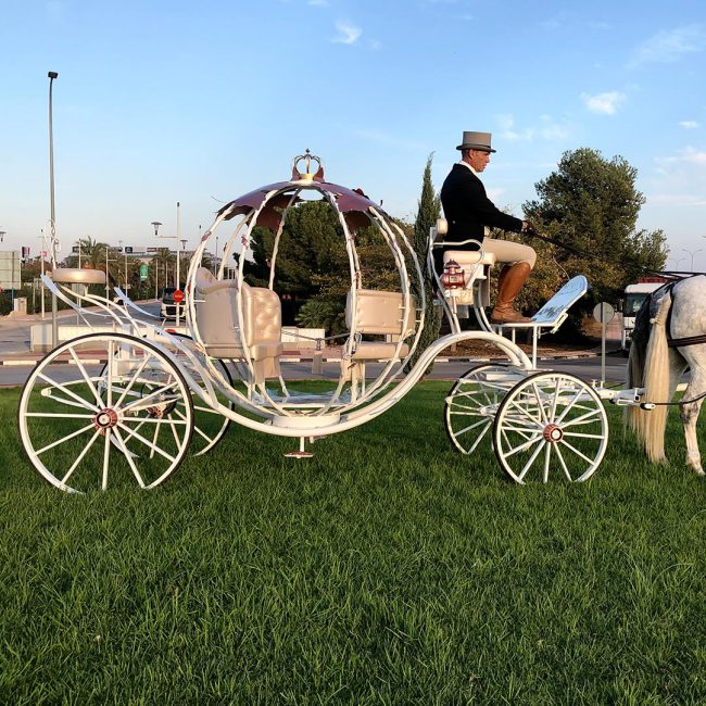 homeSectionEstilos_cinderella9